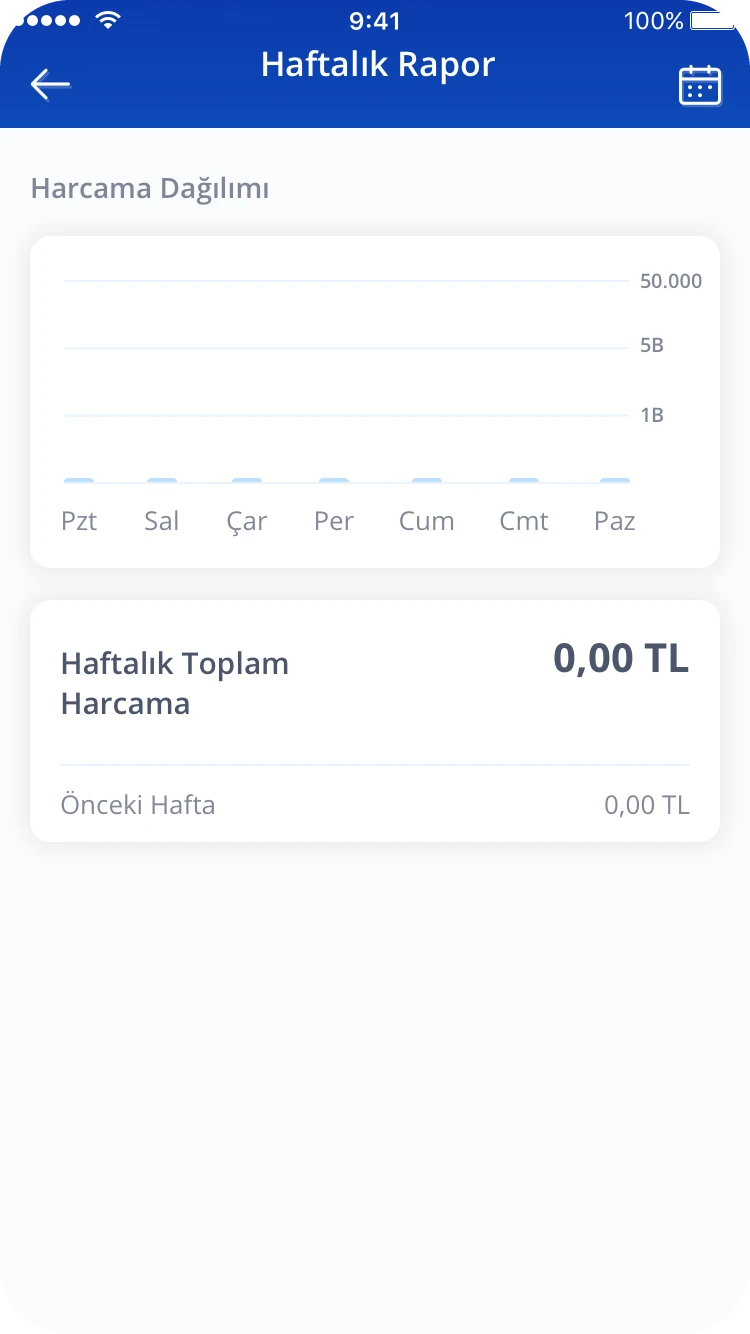 The weekly report before any spending, with empty bars.