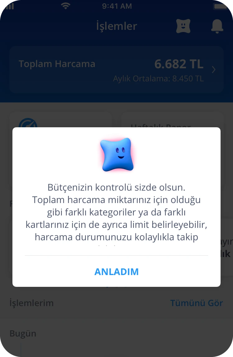 Maxi, the bank's assistant, in a dialog: keep your budget in your hands, with limits for your total spending, for categories or for your cards.