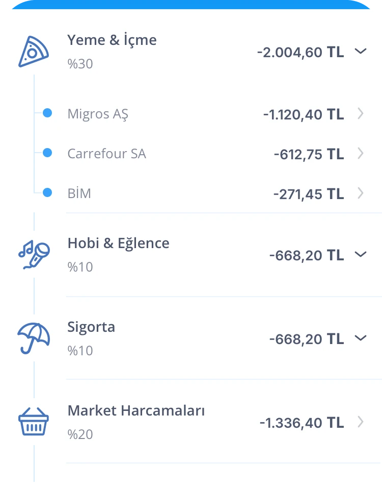 Food and drink opened: Migros, Carrefour and BİM with their amounts, then the next categories.