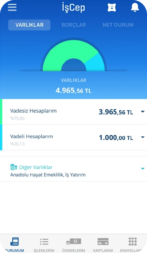 Old İşCep home, assets tab: a half-donut chart splitting demand and time deposits by percentage.