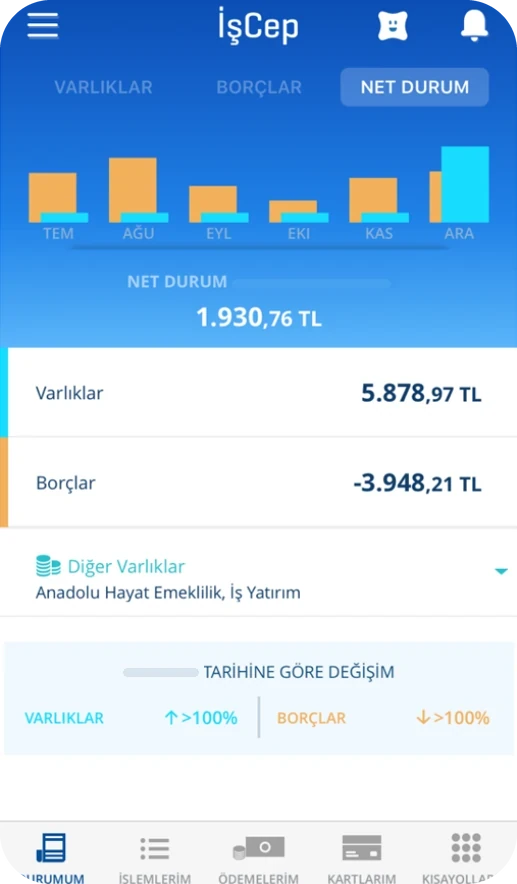 Old İşCep home, net position tab: monthly bar chart of assets against debts.